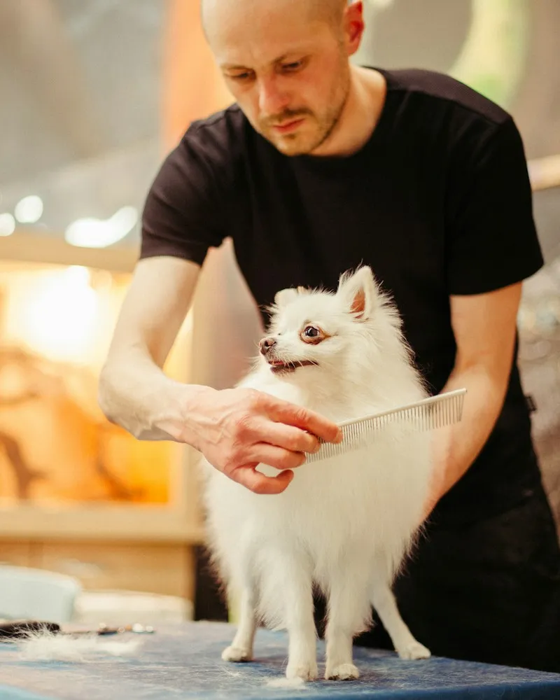 Local pet grooming business